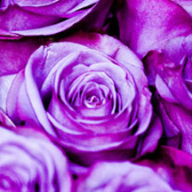 高速下载器的手机版ddos攻击器